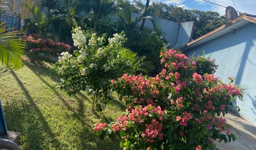 WhatsApp Image 2025-09-04 at 11.16.47 (15)