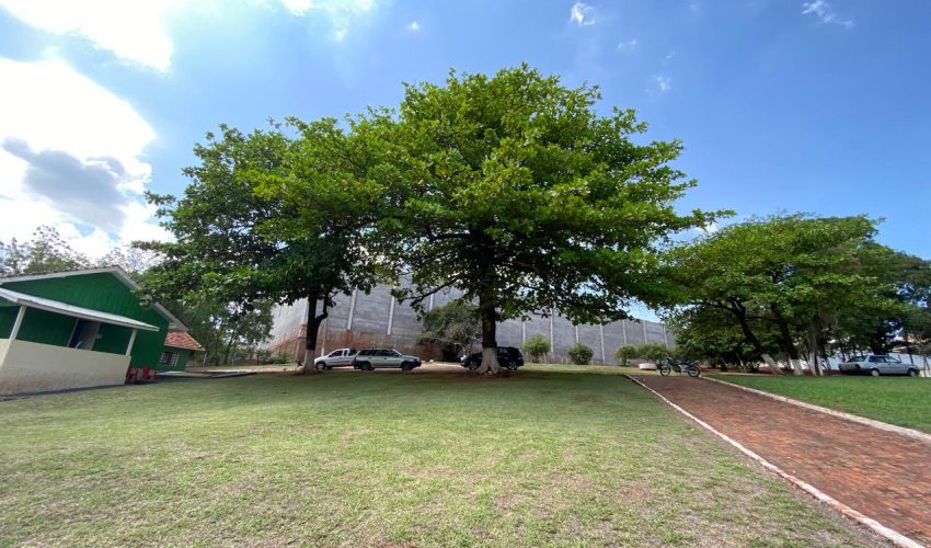 WhatsApp Image 2025-12-04 at 07.31.22 (10)